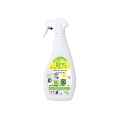 Spray nettoyant virucide 5 en 1 EN14476 Ecocert 750 ml